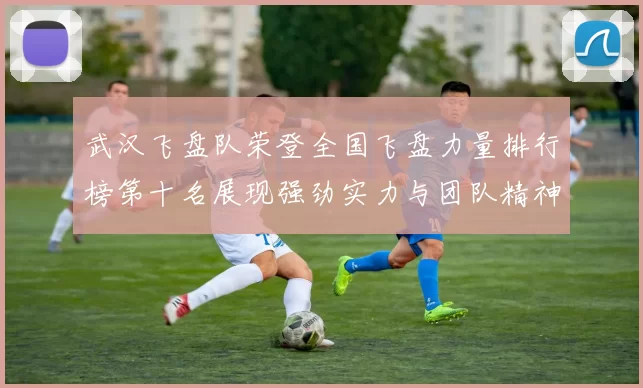 武汉飞盘队荣登全国飞盘力量排行榜第十名展现强劲实力与团队精神