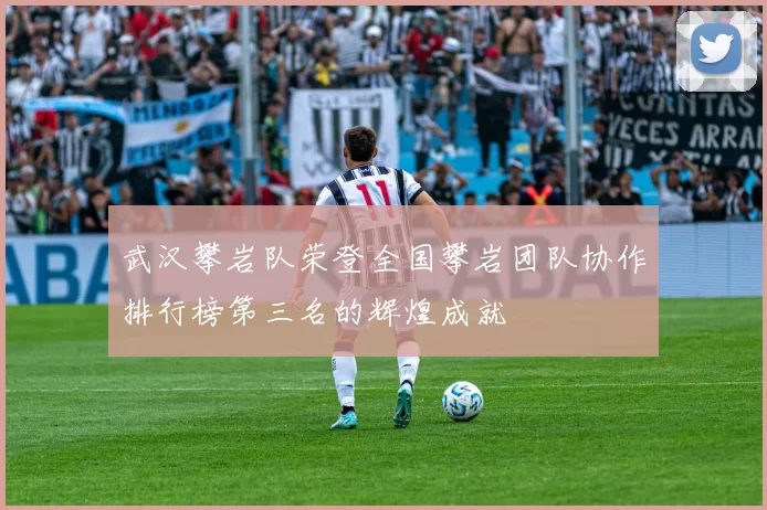 武汉攀岩队荣登全国攀岩团队协作排行榜第三名的辉煌成就