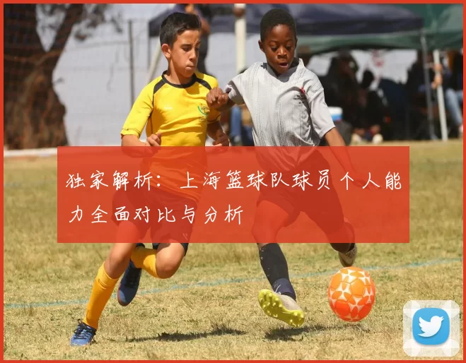 独家解析：上海篮球队球员个人能力全面对比与分析