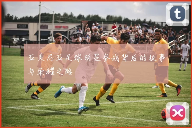 亚美尼亚足球明星参战背后的故事与荣耀之路