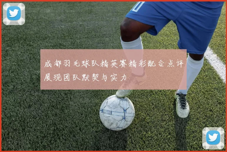 成都羽毛球队精英赛精彩配合点评展现团队默契与实力