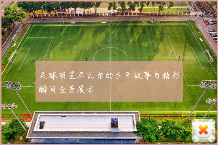 足球明星尼瓦尔的生平故事与精彩瞬间全景展示