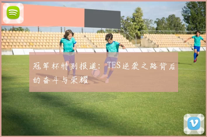 冠军杯特别报道：TES逆袭之路背后的奋斗与荣耀