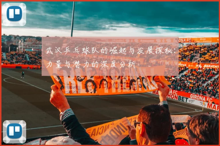 武汉乒乓球队的崛起与发展探秘：力量与潜力的深度分析