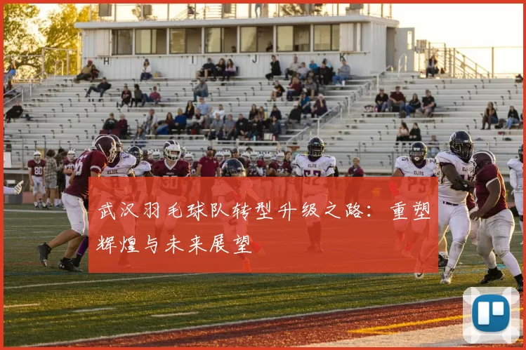 武汉羽毛球队转型升级之路：重塑辉煌与未来展望