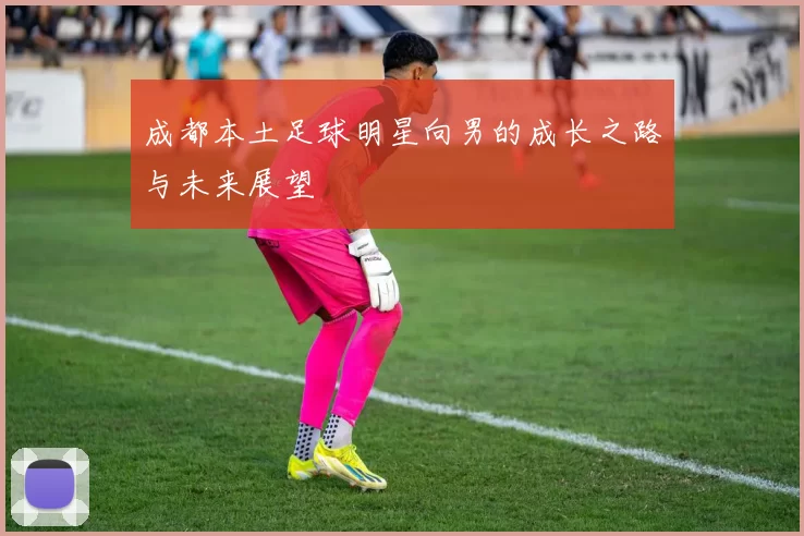 成都本土足球明星向男的成长之路与未来展望