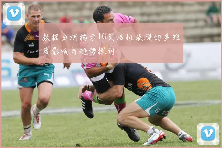 数据分析揭示IG灵活性表现的多维度影响与趋势探讨