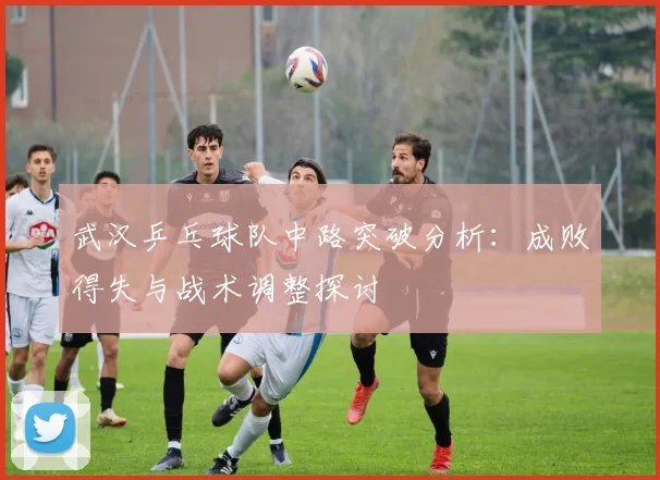 武汉乒乓球队中路突破分析：成败得失与战术调整探讨