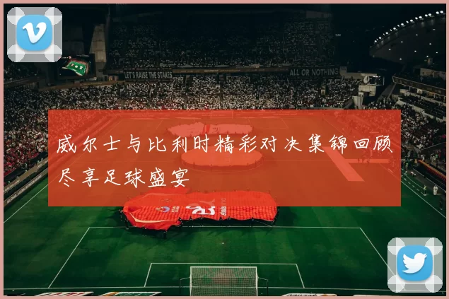 威尔士与比利时精彩对决集锦回顾尽享足球盛宴