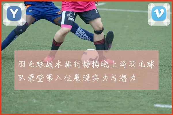 羽毛球战术排行榜揭晓上海羽毛球队荣登第八位展现实力与潜力
