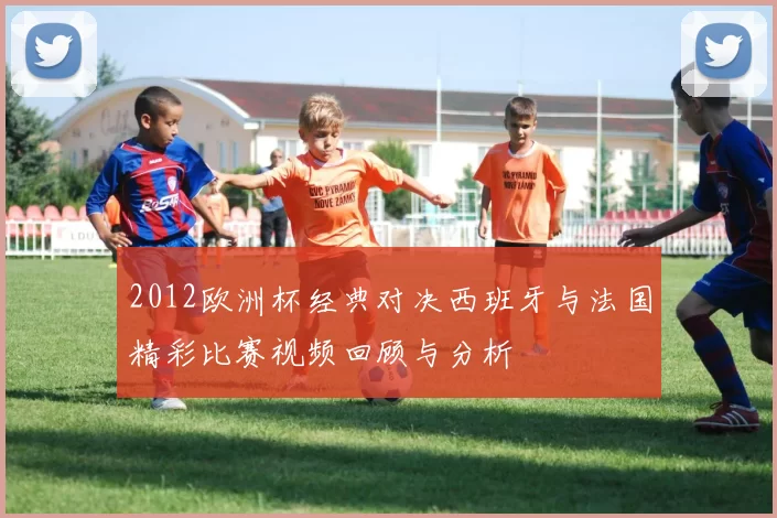 2012欧洲杯经典对决西班牙与法国精彩比赛视频回顾与分析