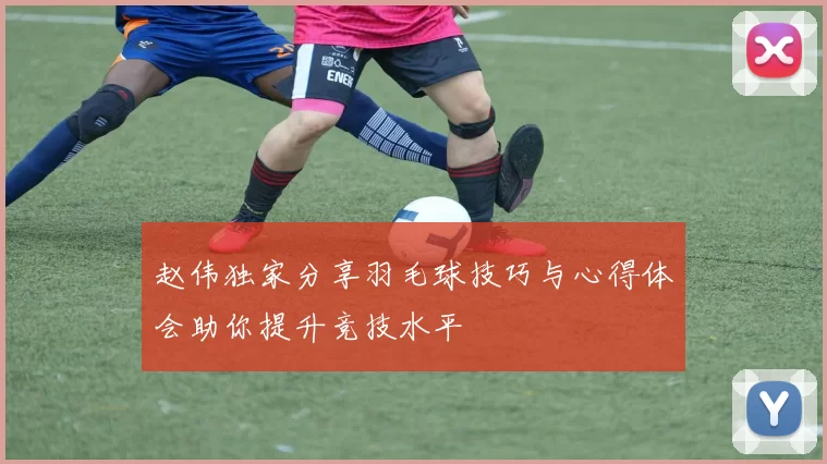 赵伟独家分享羽毛球技巧与心得体会助你提升竞技水平