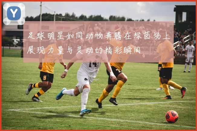 足球明星如同动物奔腾在绿茵场上展现力量与灵动的精彩瞬间