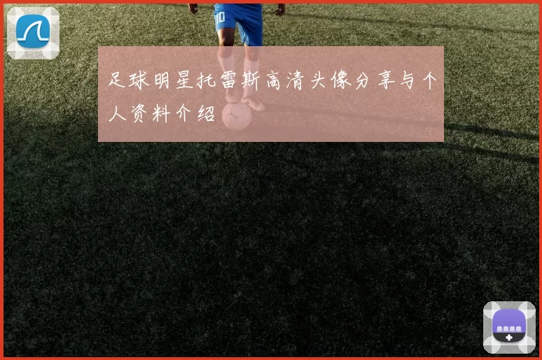 足球明星托雷斯高清头像分享与个人资料介绍