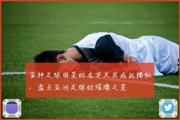 黄种足球明星的名字及其成就揭秘，盘点亚洲足球的璀璨之星