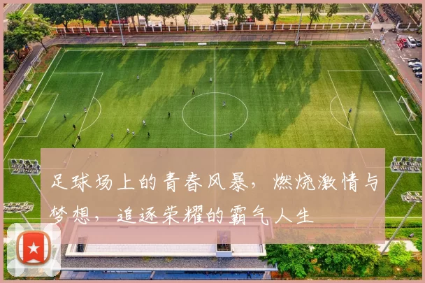 足球场上的青春风暴，燃烧激情与梦想，追逐荣耀的霸气人生