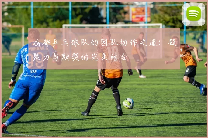 成都乒乓球队的团队协作之道：凝聚力与默契的完美结合