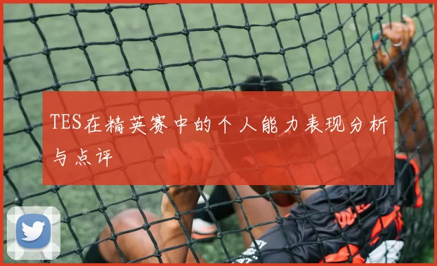 TES在精英赛中的个人能力表现分析与点评