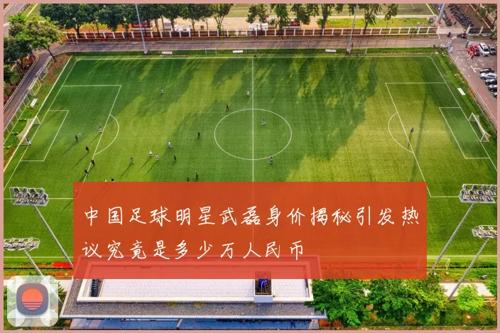 中国足球明星武磊身价揭秘引发热议究竟是多少万人民币