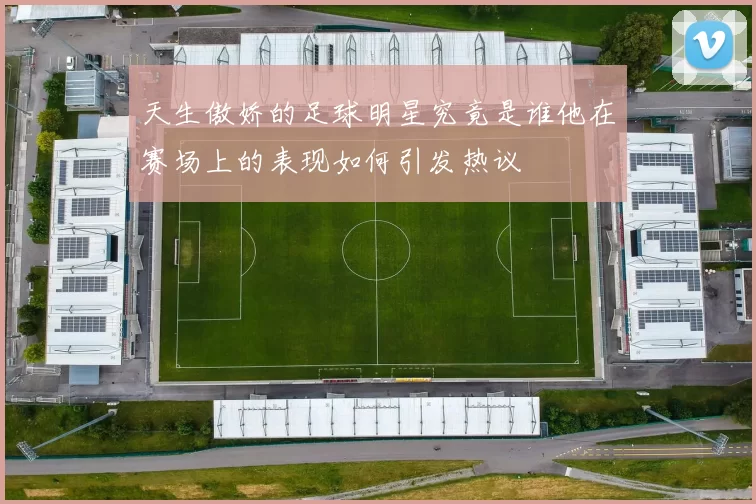 天生傲娇的足球明星究竟是谁他在赛场上的表现如何引发热议