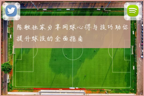 陈敏独家分享网球心得与技巧助你提升球技的全面指南
