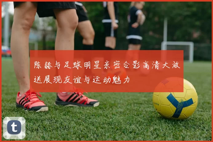 陈赫与足球明星亲密合影高清大放送展现友谊与运动魅力