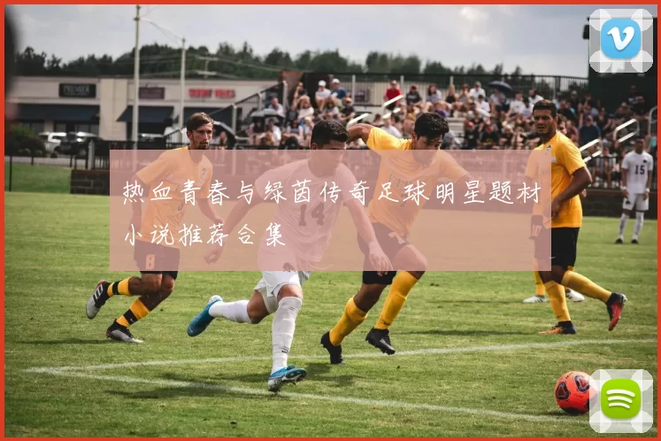 热血青春与绿茵传奇足球明星题材小说推荐合集