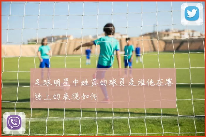足球明星中姓苏的球员是谁他在赛场上的表现如何