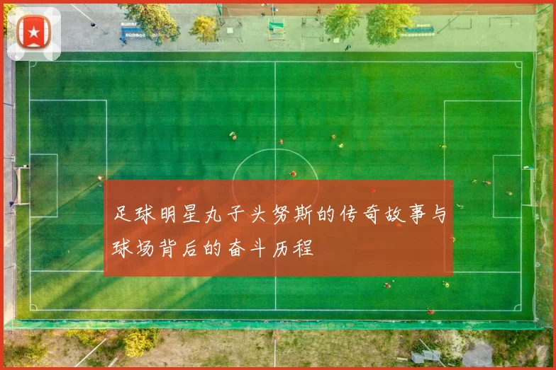 足球明星丸子头努斯的传奇故事与球场背后的奋斗历程