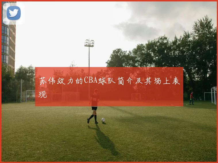 苏伟效力的CBA球队简介及其场上表现