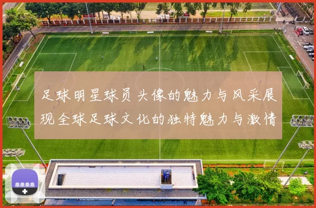 足球明星球员头像的魅力与风采展现全球足球文化的独特魅力与激情